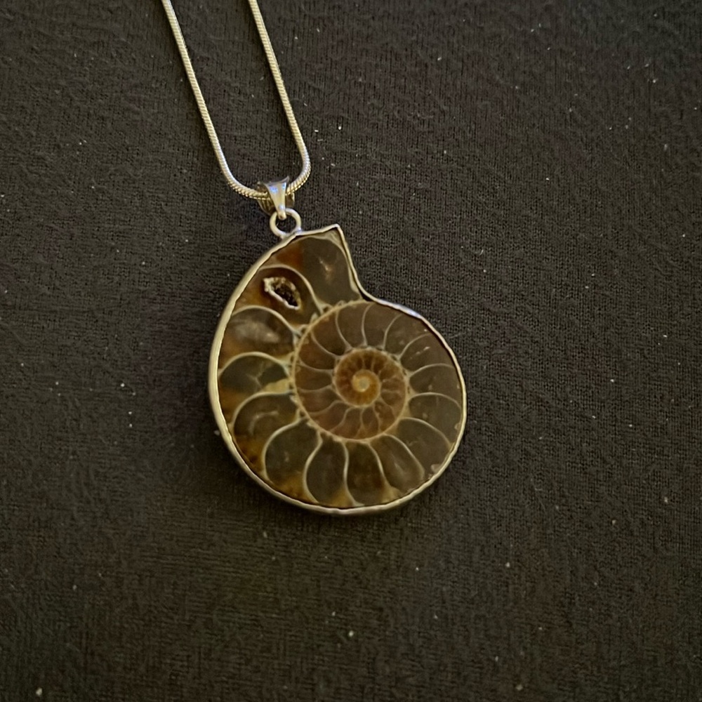 Ammonite Pendant on Sterling Silver 16 inch Chain